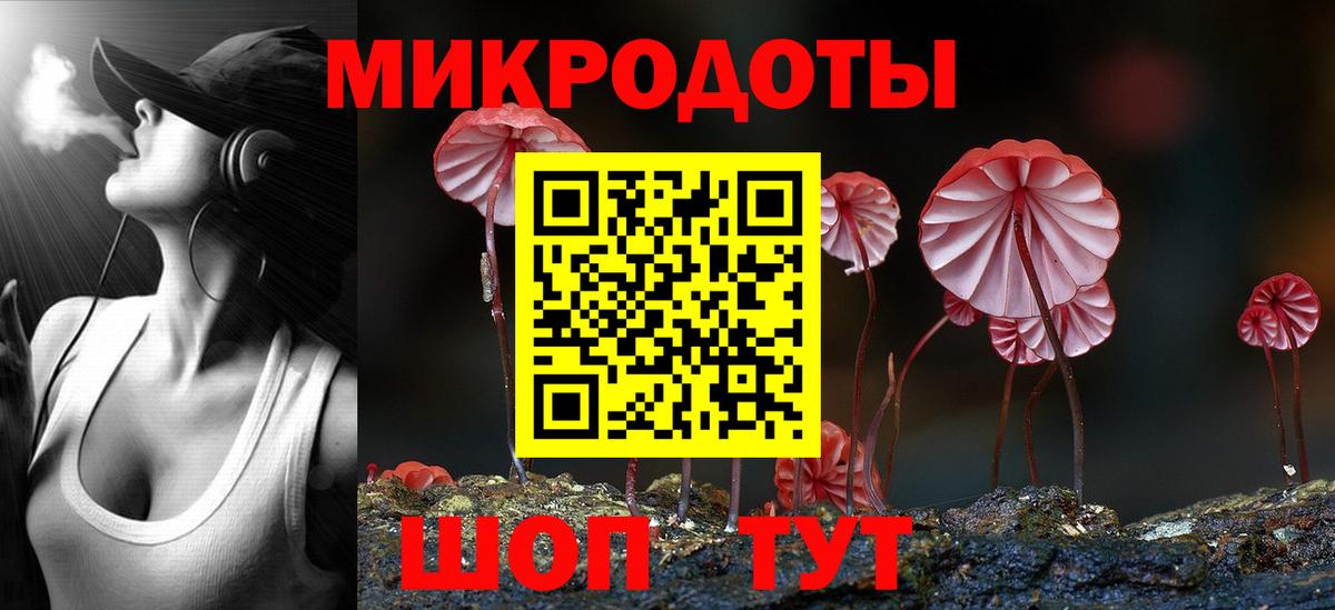 Галлюциногенные грибы Psilocybe Прокопьевск